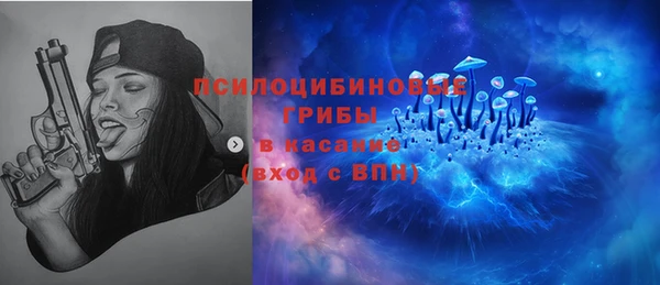 трава Арсеньев