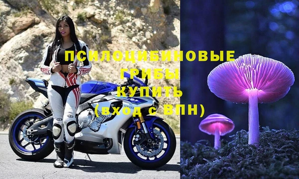 ECSTASY Аркадак