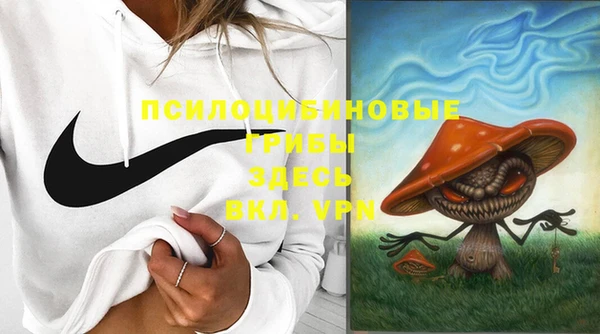 трава Арсеньев